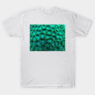 Brain Coral Closeup T-Shirt